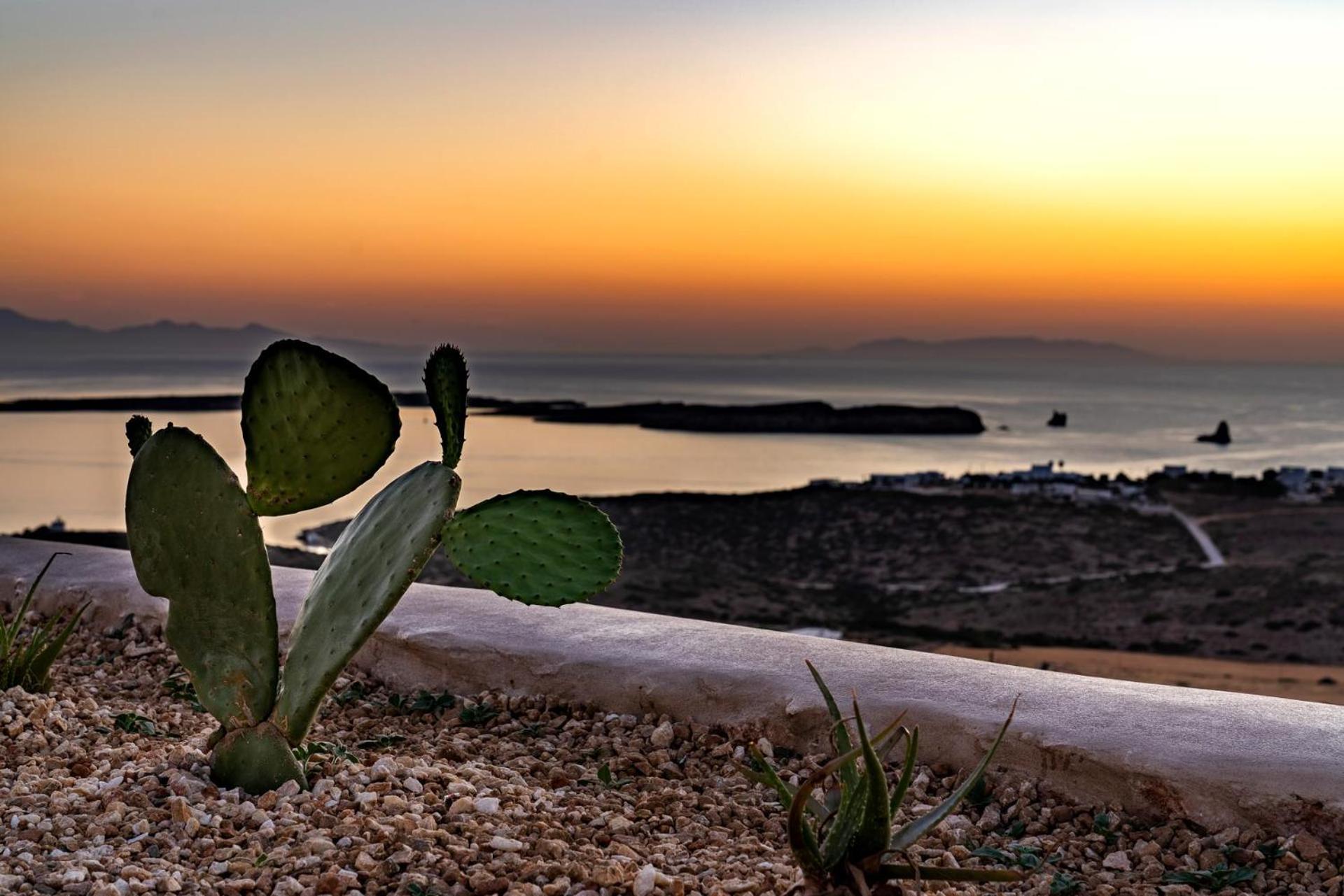 Готель Mythic Paros , Adults Only Agia Irini  Номер фото